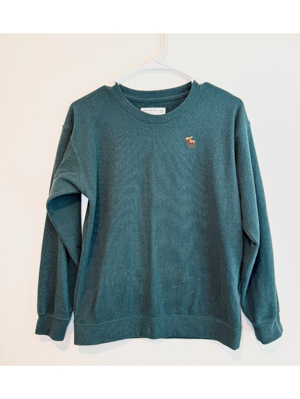 Abercrombie Kids Relaxed Fit Sweater Size 13/14